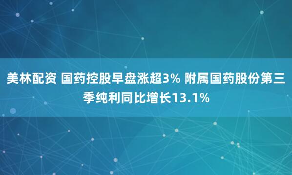 美林配资 国药控股早盘涨超3% 附属国药股份第三季纯利同比增长13.1%